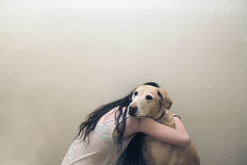 找个男朋友还是养条狗(找个养狗的男朋友)