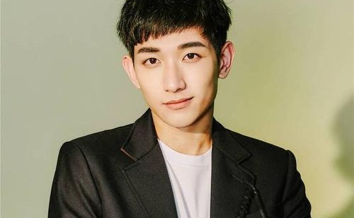 手可摘星辰演员表王智骞饰演哪个角色(手可摘星辰电视剧百科)