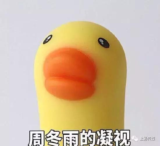 周冬雨为什么叫小黄鸭？周冬雨为什么没有胸(周冬雨和黄鸭)
