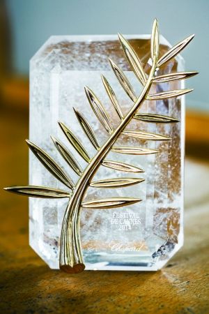 为什么戛纳电影节的地位这么高?2017戛(为什么戛纳电影节受欢迎) 为什么戛纳电影节的地位这么高?2017戛(为什么戛纳电影节受欢迎)