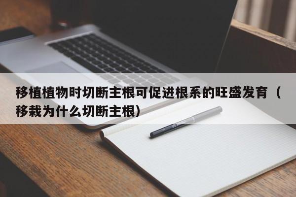 移植植物时切断主根可促进根系的旺盛发育（移栽为什么切断主根） 