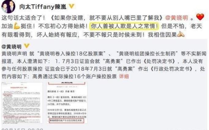 陈岚黄晓明怎么认识的(黄晓明和秦岚是什么关系)