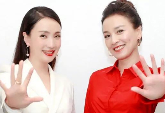 陶虹退出张庭公司原因深扒(陶虹为什么和张庭创业)