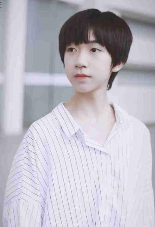 贺峻霖为什么叫影、兔子、小铃铛、樱子、贺(贺峻霖为什么是樱) 贺峻霖为什么叫影、兔子、小铃铛、樱子、贺(贺峻霖为什么是樱)