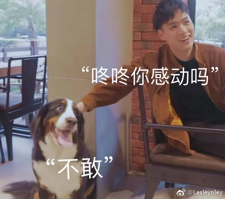 董又霖没出道吗(董又霖怎么了)