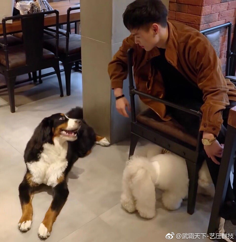 董又霖没出道吗(董又霖怎么了)