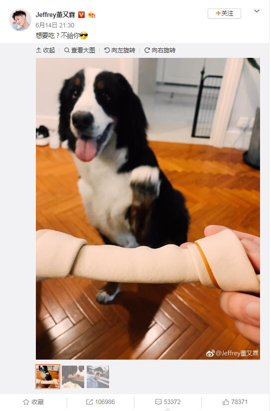 董又霖没出道吗(董又霖怎么了)