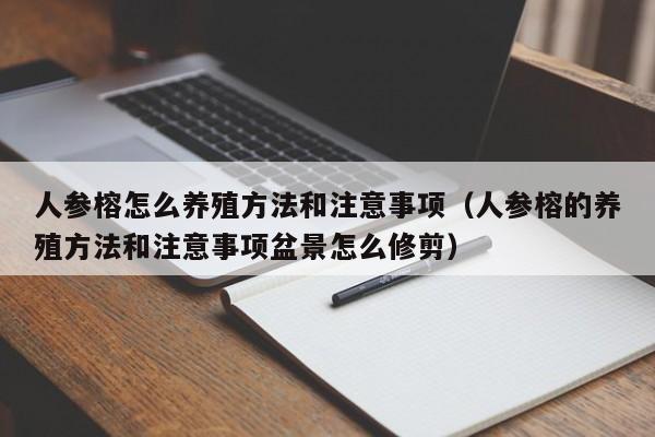 人参榕怎么养殖方法和注意事项（人参榕的养殖方法和注意事项盆景怎么修剪） 