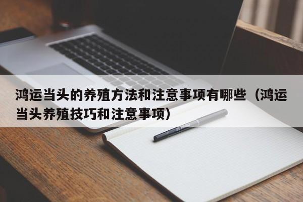 鸿运当头的养殖方法和注意事项有哪些(鸿运当头养殖技巧和注意事项)