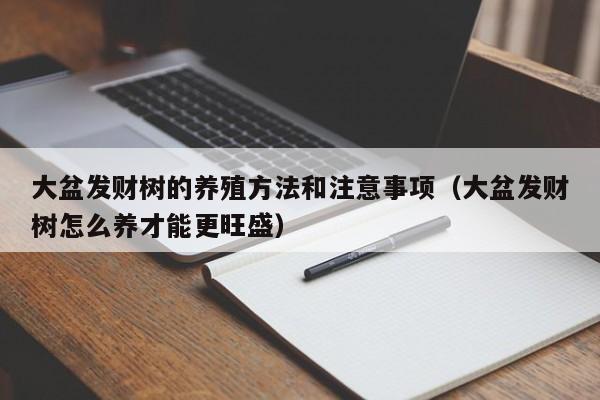 大盆发财树的养殖方法和注意事项（大盆发财树怎么养才能更旺盛） 