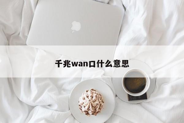 千兆wan口什么意思 