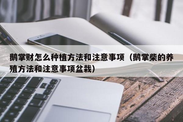 鹅掌财怎么种植方法和注意事项（鹅掌柴的养殖方法和注意事项盆栽） 