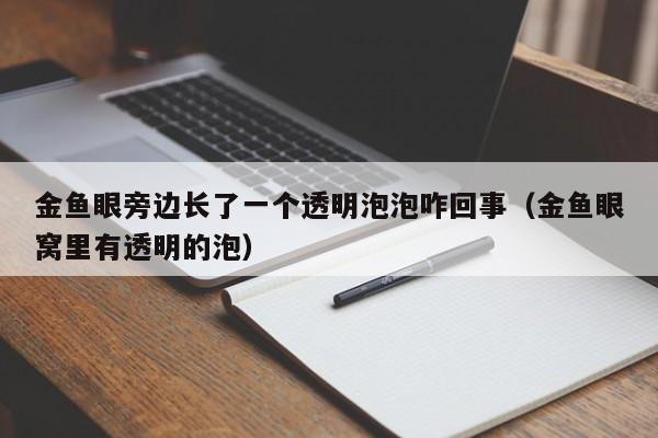 金鱼眼旁边长了一个透明泡泡咋回事（金鱼眼窝里有透明的泡） 