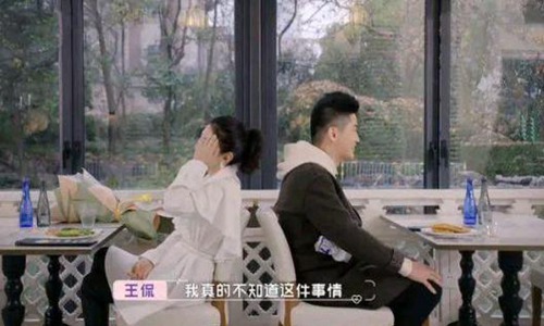 黄奕与海王G装直男陆律师相亲 黄奕与海王G装直男陆律师相亲