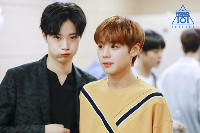 朴志训的应援色是什么、他嘴巴怎么了？