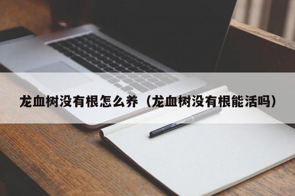 龙血树没有根怎么养(龙血树没有根能活吗)