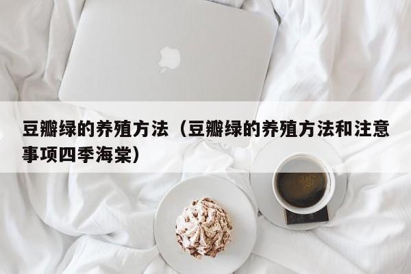 豆瓣绿的养殖方法（豆瓣绿的养殖方法和注意事项四季海棠） 