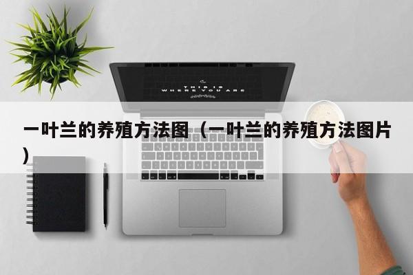 一叶兰的养殖方法图（一叶兰的养殖方法图片） 