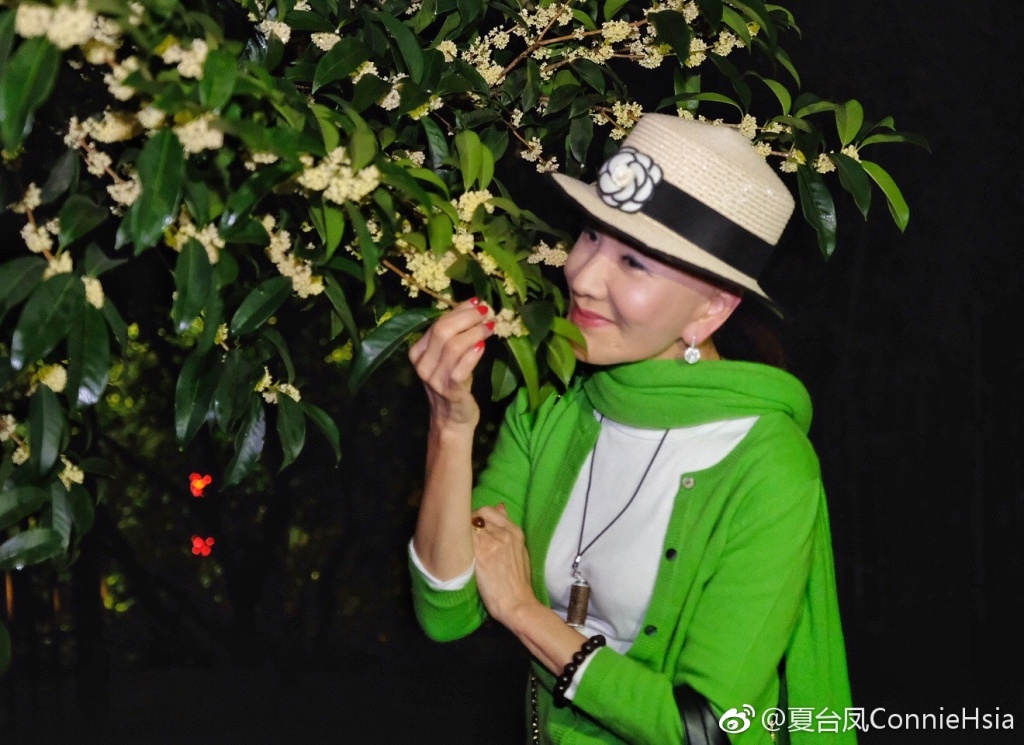 夏台凤年轻时候的照片(夏台凤剧照) 夏台凤年轻时候的照片(夏台凤剧照)