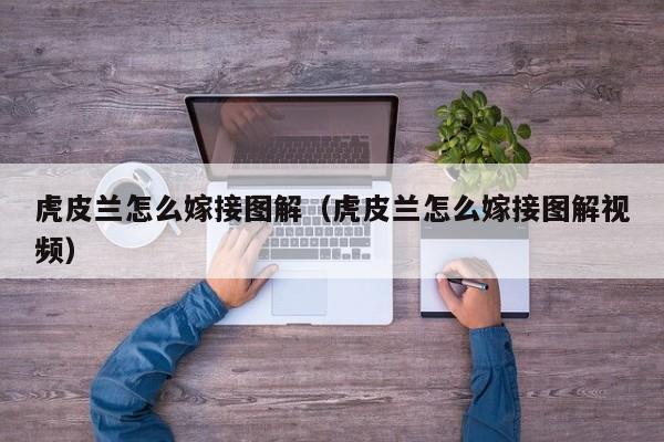 虎皮兰怎么嫁接图解（虎皮兰怎么嫁接图解视频） 