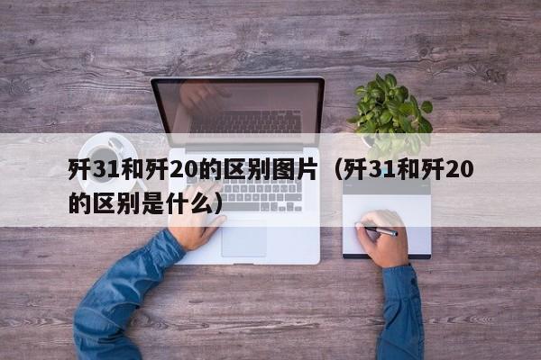 歼31和歼20的区别图片（歼31和歼20的区别是什么） 