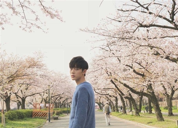 肖战自曝择偶标准也被催婚(肖战已经结婚)