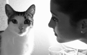 陈紫函有口臭真的吗？口臭为什么自己闻不到