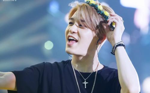 姜成勋为什么叫勋尼?姜成勋金喜善交往过没 姜成勋为什么叫勋尼?姜成勋金喜善交往过没