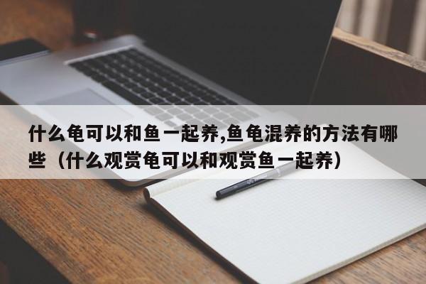 什么龟可以和鱼一起养,鱼龟混养的方法有哪些（什么观赏龟可以和观赏鱼一起养） 