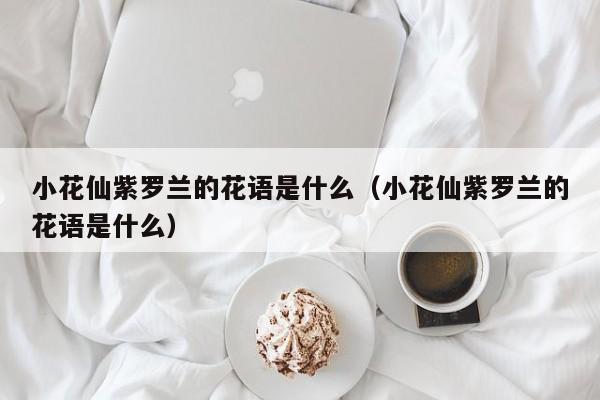 小花仙紫罗兰的花语是什么（小花仙紫罗兰的花语是什么） 