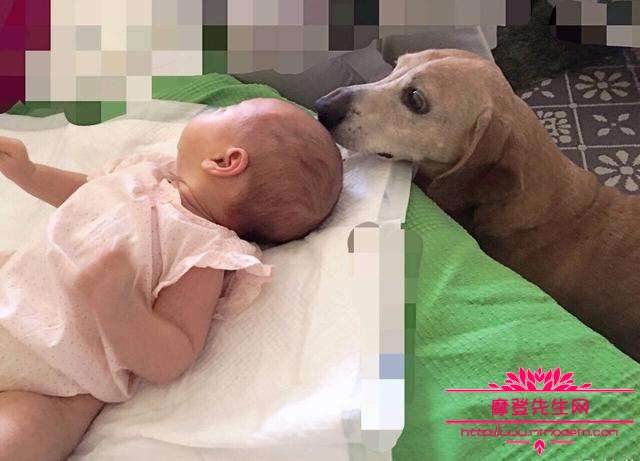 张梓琳身材这么好为什么不走维密?为什么说 张梓琳身材这么好为什么不走维密?为什么说