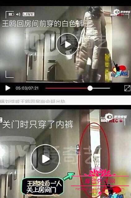 王鸥为什么被骂是小三？王鸥性感写真照片组(王鸥照片和个人资料)