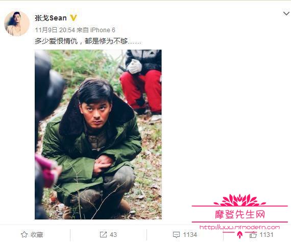 王鸥为什么被骂是小三？王鸥性感写真照片组(王鸥照片和个人资料)