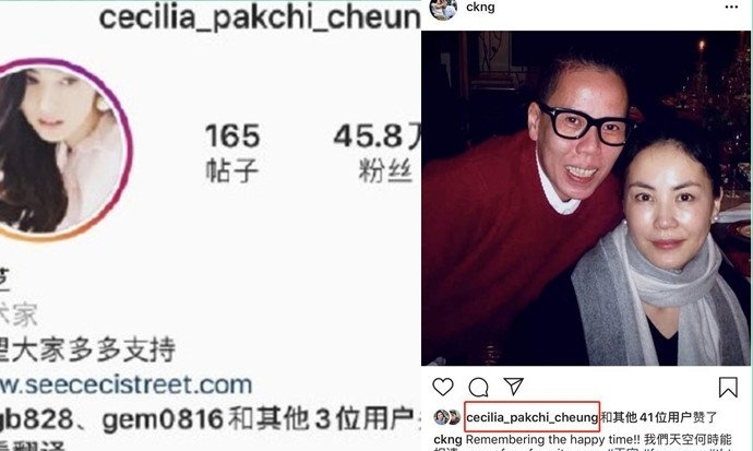 张柏芝点赞王菲照片是想表达什么意思(王菲怼张柏芝的话) 张柏芝点赞王菲照片是想表达什么意思(王菲怼张柏芝的话)