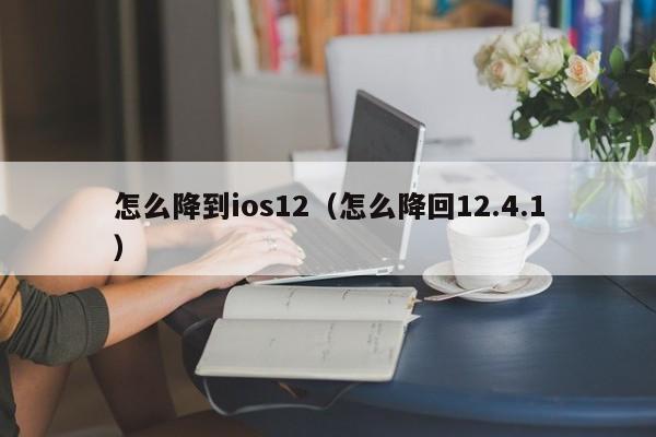 怎么降到ios12(怎么降回12.4.1)
