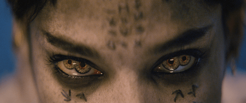 新木乃伊结尾有没有彩蛋？新木乃伊铁定会拍(新木乃伊 结局)