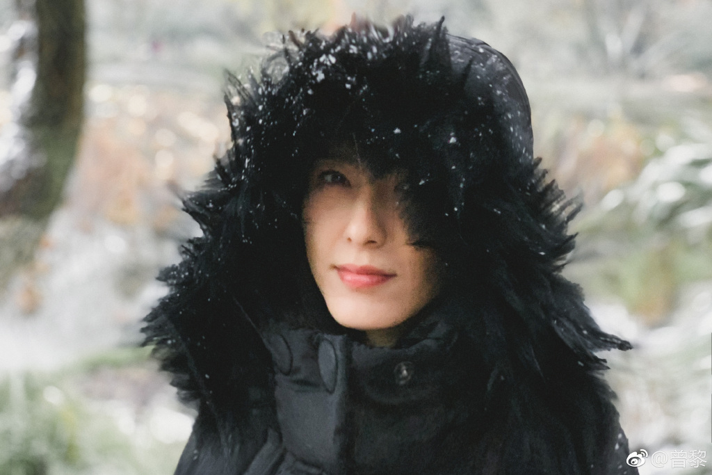 当年八大金钗之一曾黎那么美为什么不红?陈