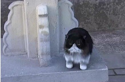 甄嬛传穿帮镜头大集合(甄嬛传甄嬛误穿哪一集) 甄嬛传穿帮镜头大集合(甄嬛传甄嬛误穿哪一集)