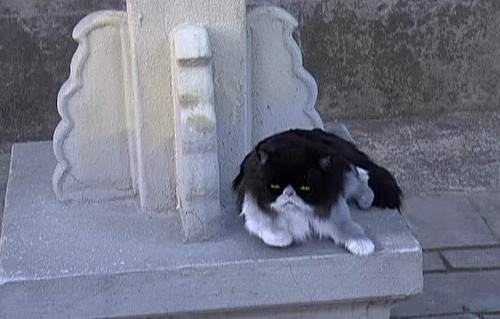 甄嬛传穿帮镜头大集合(甄嬛传甄嬛误穿哪一集) 甄嬛传穿帮镜头大集合(甄嬛传甄嬛误穿哪一集)