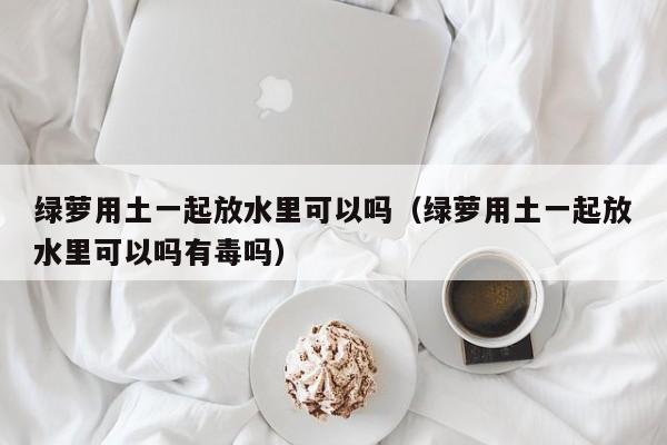 绿萝用土一起放水里可以吗（绿萝用土一起放水里可以吗有毒吗） 