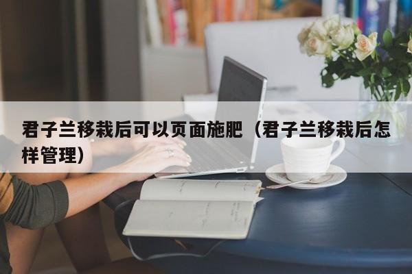 君子兰移栽后可以页面施肥(君子兰移栽后怎样管理)