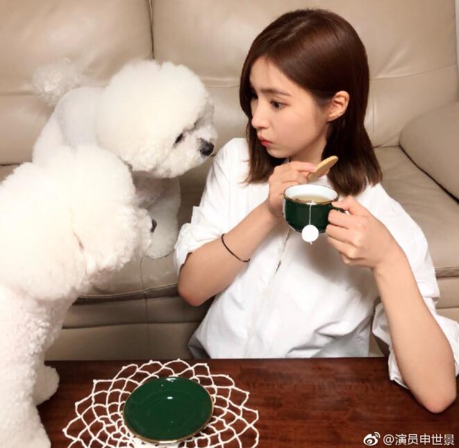 申世景在韩国怎么样韩国人讨厌她吗