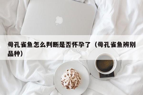 母孔雀鱼怎么判断是否怀孕了(母孔雀鱼辨别品种)