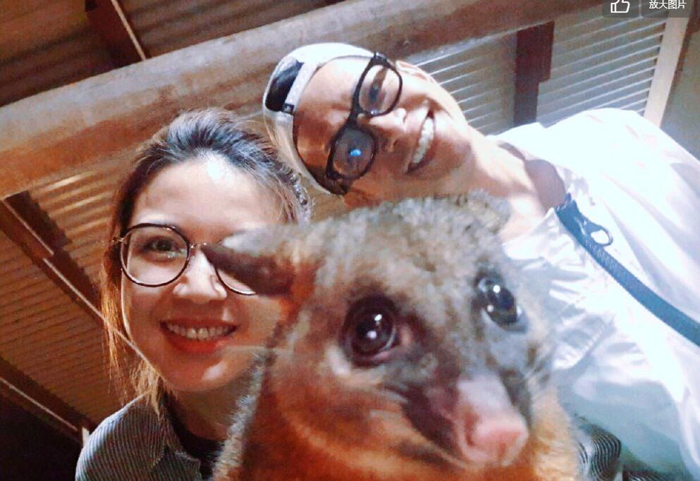 张智成梁静茹是什么关系？张智成是不是同性(张智成与梁静茹)