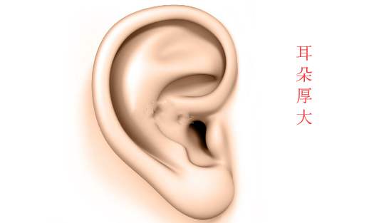 马未都太太贾宏伟照片 马未都太太贾宏伟照片