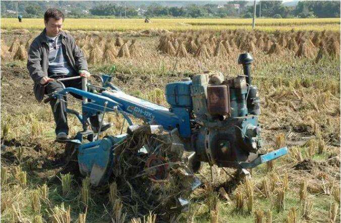 廖伟雄在哪里开农场(廖伟雄哪里人) 廖伟雄在哪里开农场(廖伟雄哪里人)