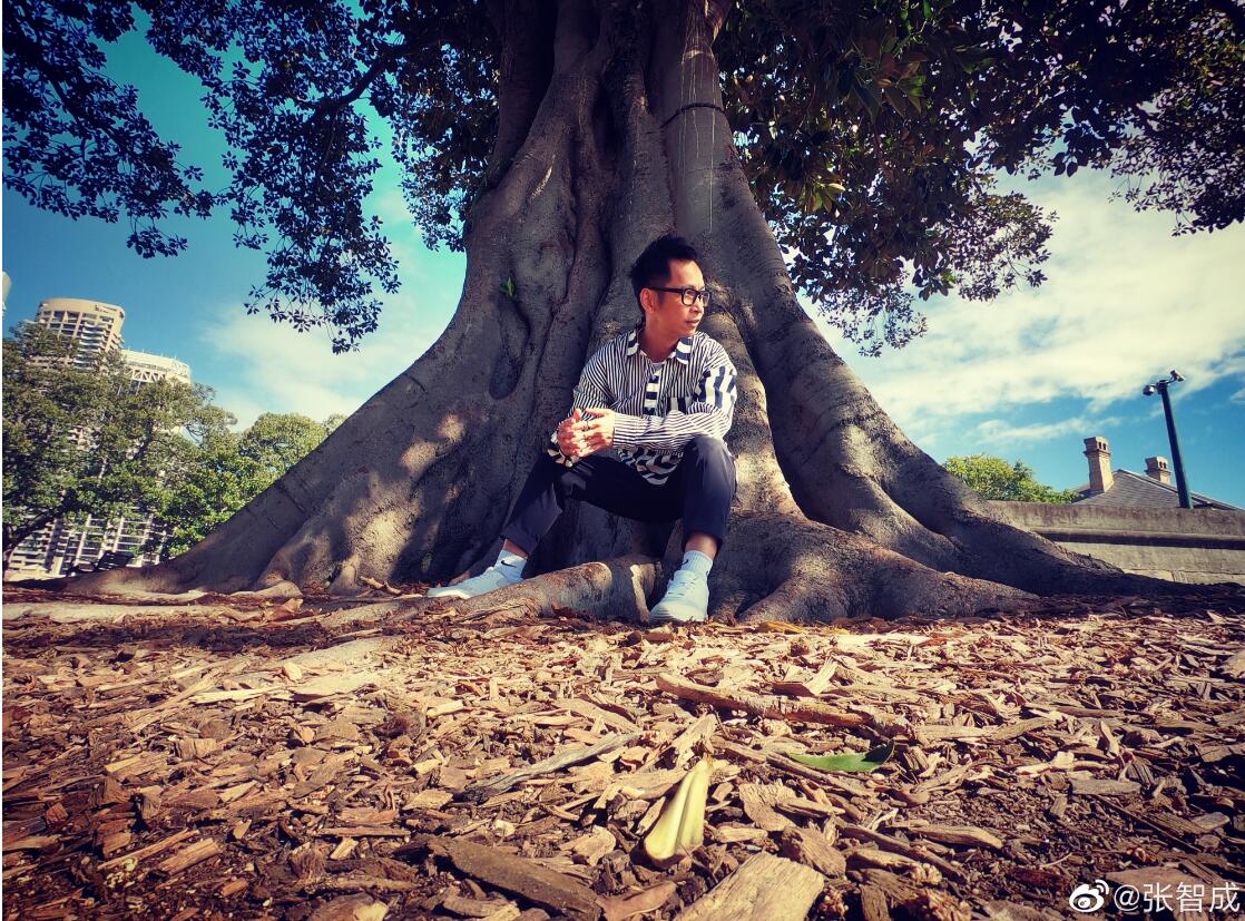 张智成梁静茹是什么关系？张智成是不是同性(张智成与梁静茹)