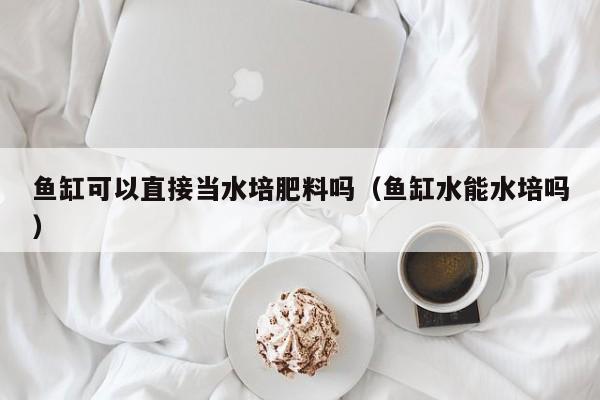 鱼缸可以直接当水培肥料吗（鱼缸水能水培吗） 