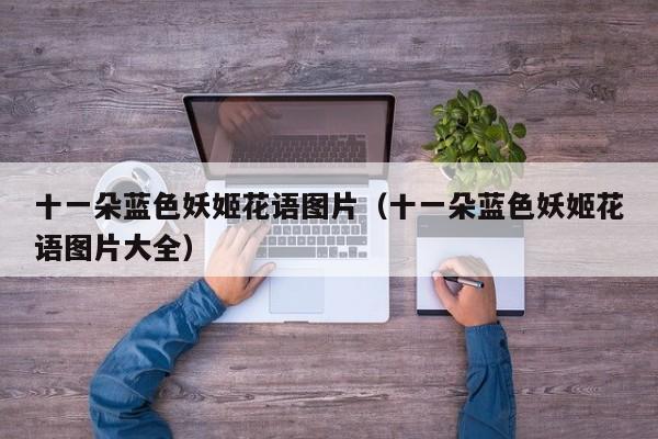 十一朵蓝色妖姬花语图片（十一朵蓝色妖姬花语图片大全） 