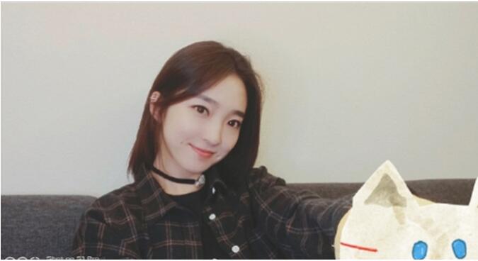 杨凯雯是东北哪里人(杨凯雯是谁?) 杨凯雯是东北哪里人(杨凯雯是谁?)